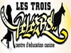 Les 3 piliers